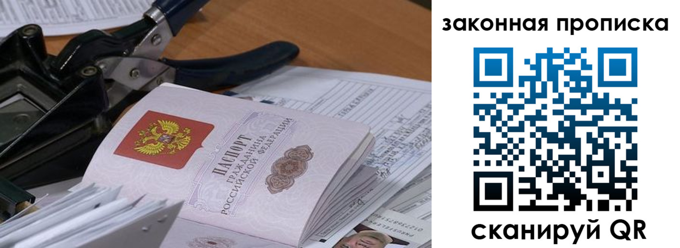 прописка 2025 в Мончегорске